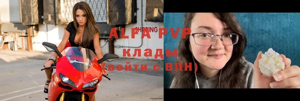 винт Лабытнанги