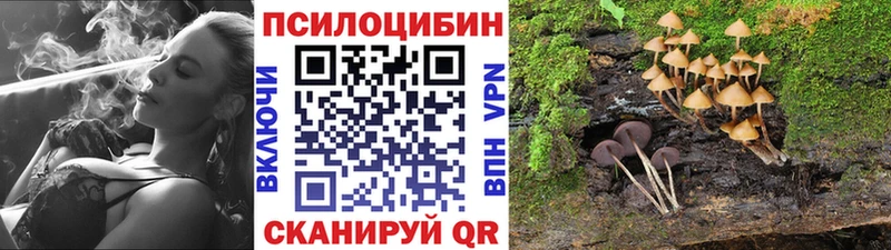 Псилоцибиновые грибы Magic Shrooms  Купить  Козловка 