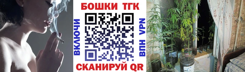 Купить где  Козловка  Бошки марихуана SATIVA & INDICA 